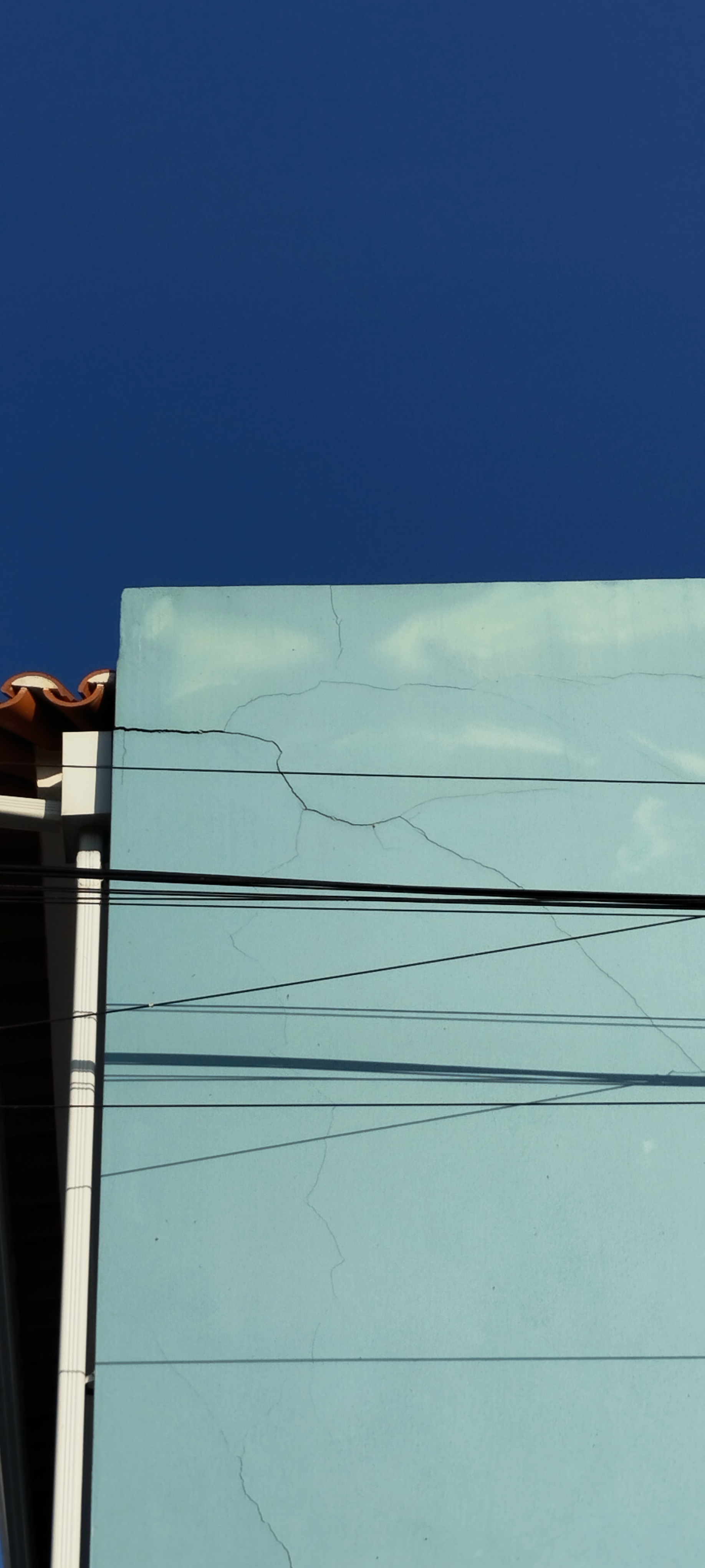 imagem5