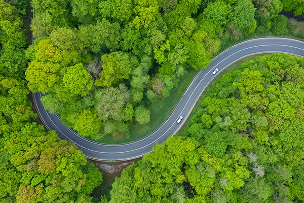 lubrificantes biodegradáveis e a sustentabilidade