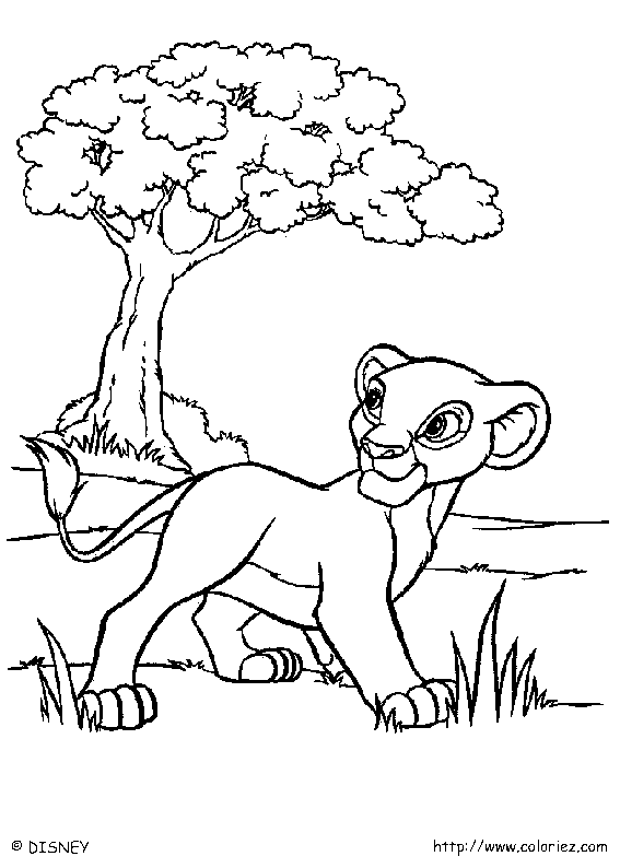 Desenho De Filhote Leão Da Disney Página Para Colorir Download