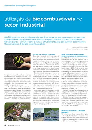 Artigo sobre  Utilização de biocombustíveis no setor industrial