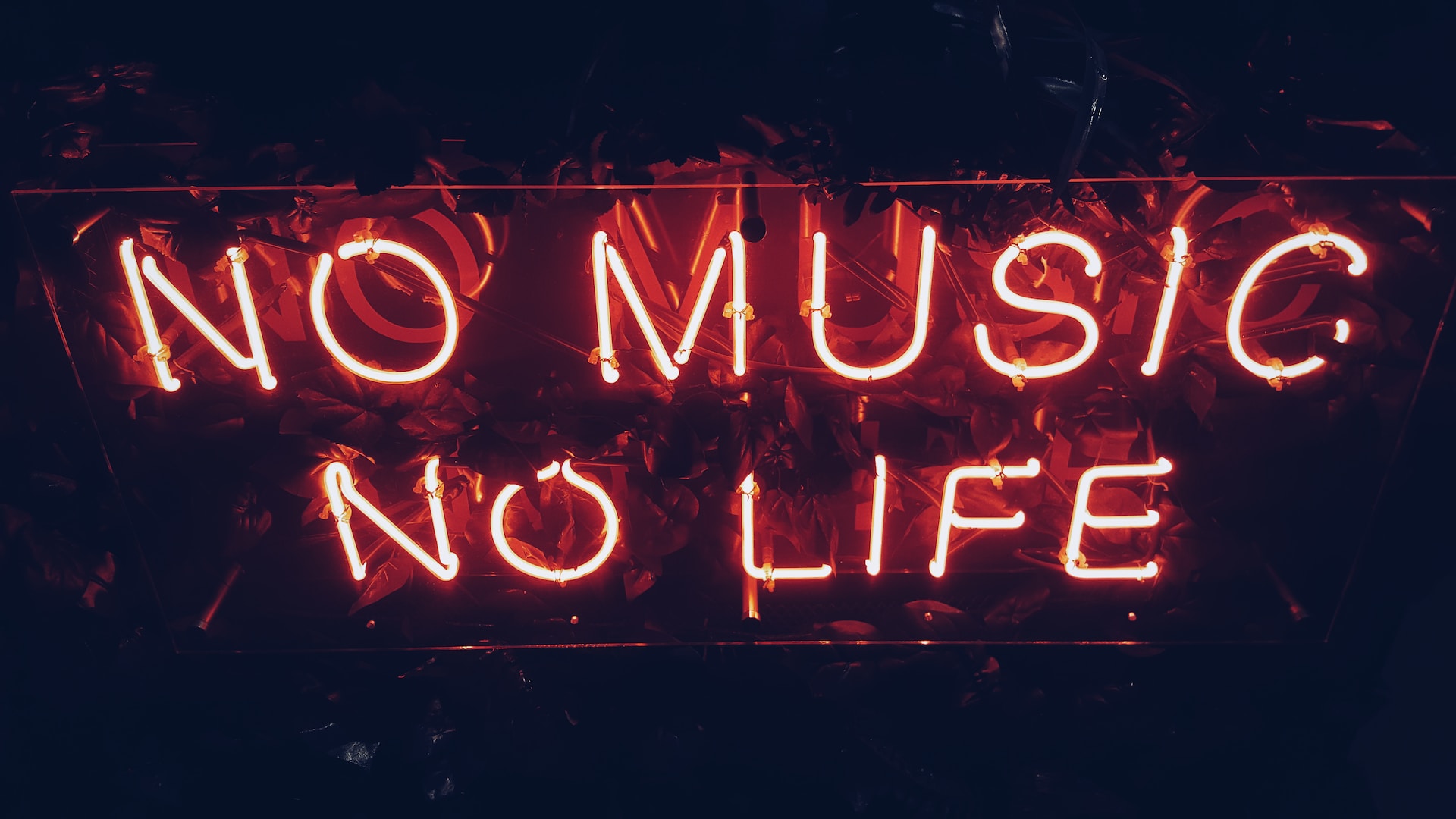 Blog post cover showing neons spelling No music, no life