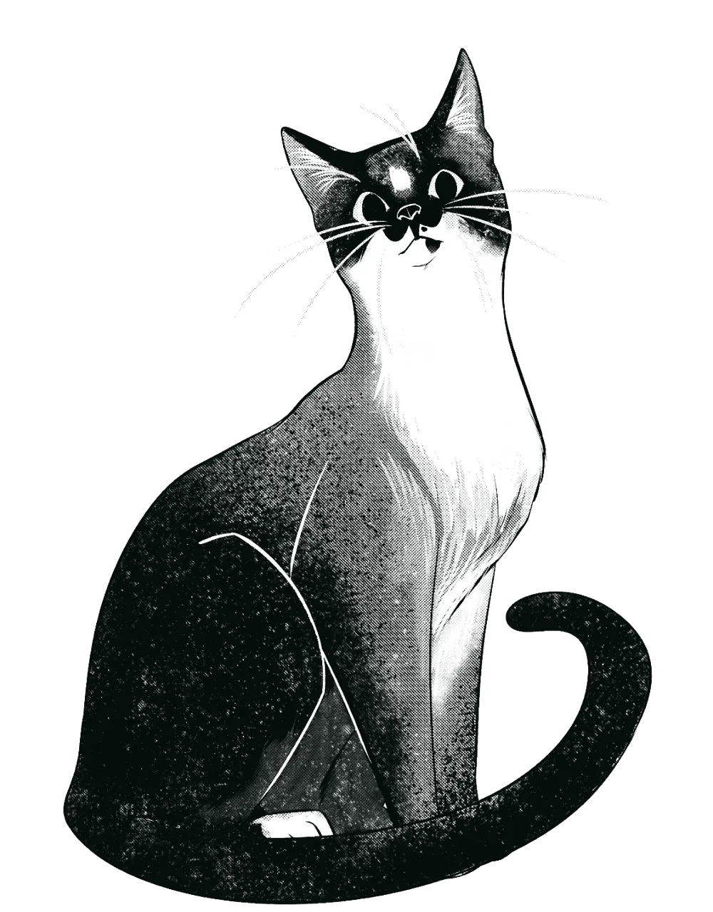 Monochromatic drawing of Chico, my cat