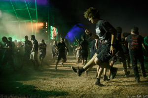 ** FEST LIFE **
