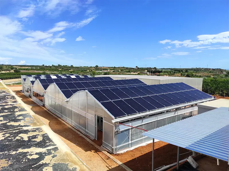 exemplo de instalação agrovoltaica exemplo de instalação agrovoltaica