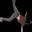 breakdancer1.gif