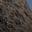 Rough_rock_015_render.jpg