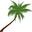 palmeira-desenho2.gif