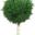garden_tree_png_by_dbszabo1-d36bc5c.gif