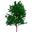 tree1.gif